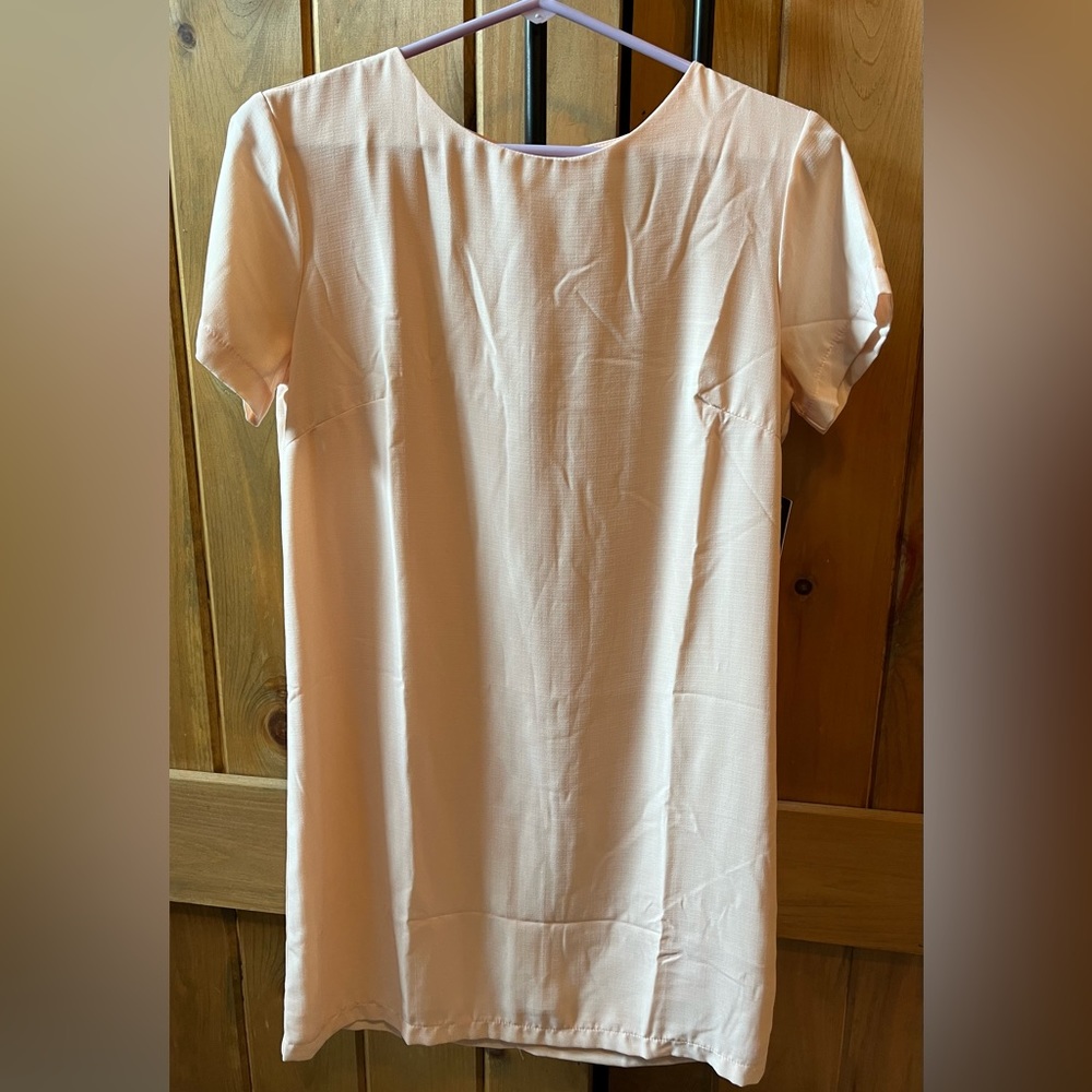 Blush mini dress brand new from Lulus. Size XS